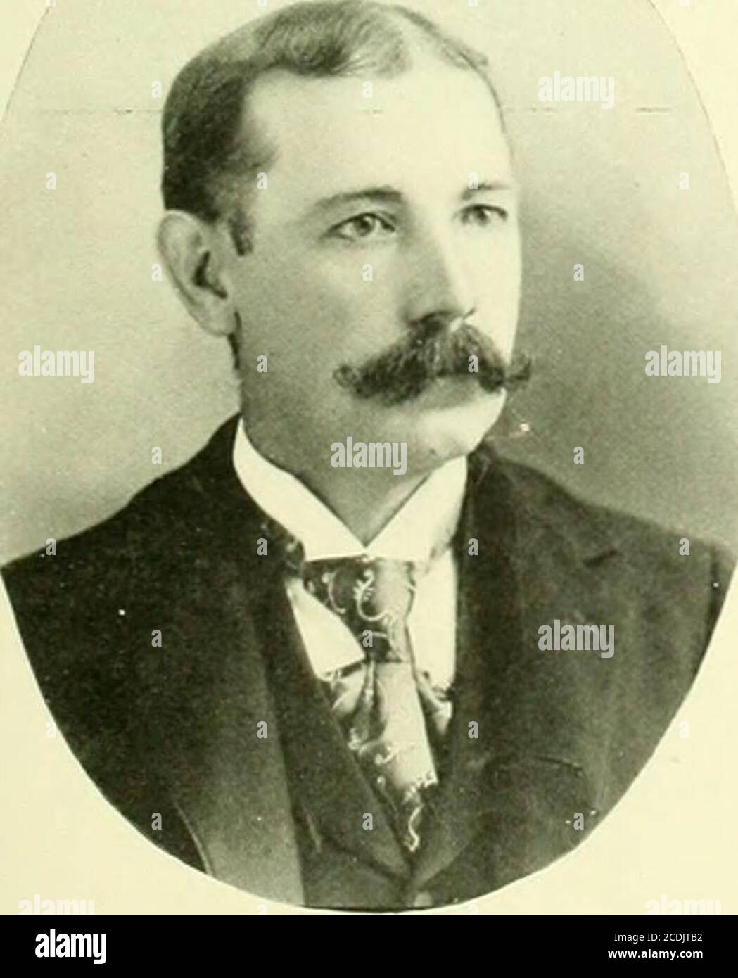 . Essex County, N.J., illustred. Portance. Per realizzare il suo intento di educare il thepeople o di rendere l'istruzione libera, hanno messo l'apprendimento all'interno di ogni di tutti che non eserciteranno il loro diritto di raggiungere e prendere esso. Il Consiglio di Stato per l'Istruzione o il Consiglio di pubblica amministrazione è composto da sei membri nominati dal Governatore, mentre i membri dell'Eighlights sono presi da ciascuno dei due principali partiti politici degli otto distretti del Congresso. Il direttore esecutivo ofticer è conosciuto come il Super-intendente di Slate di Istruzione pubblica ed ha il suo ufficio a Trenton.The seguente nell'autorità executie sono la Contea S. Foto Stock