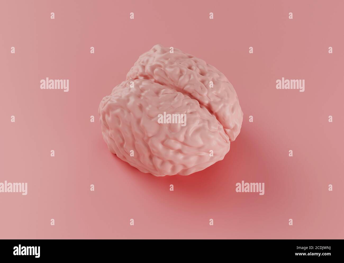 modello cerebrale rosa umano su sfondo rosa, concetto minimo, illustrazione 3d Foto Stock