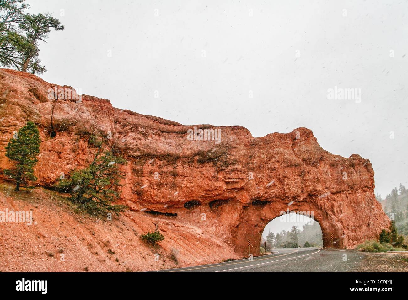 Inverno sulla strada nel canyon di Red Rock. Foto Stock