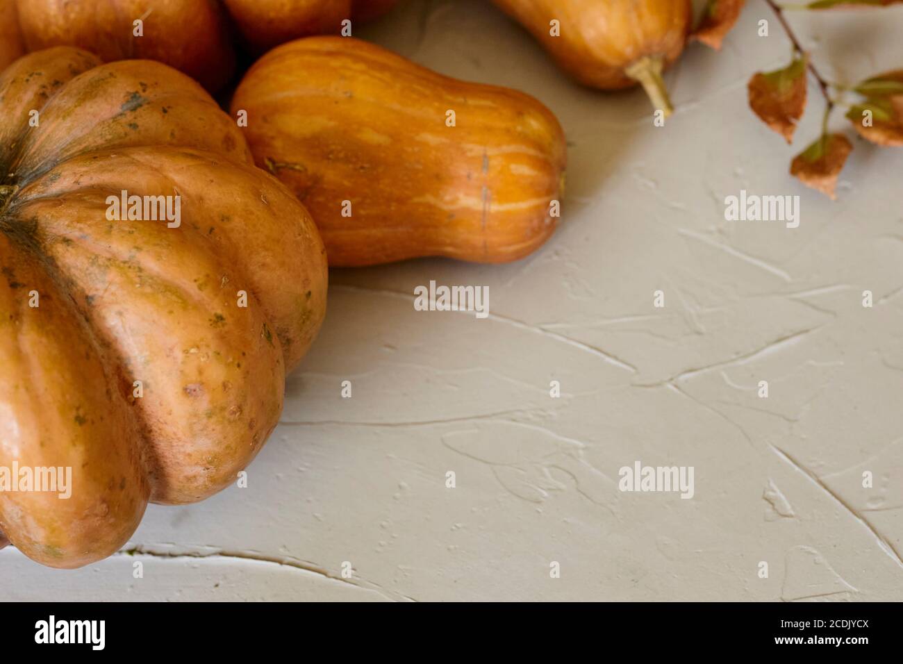 Un gruppo di zucche autunnali di diverse dimensioni con foglie di caduta Foto Stock