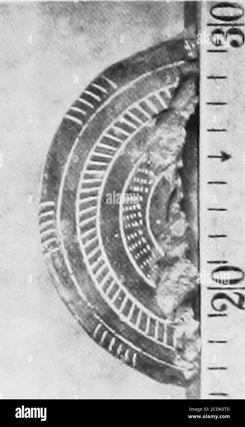 . Il palazzo di Minos : Un resoconto comparativo delle fasi successive della prima civiltà cretese, come illustrato dalle scoperte di Cnosso. Alcuni pissidi, come in quello di certi idolsdi marmo pariano trovato a Creta, dobbiamo riconoscere, come già sottolineato,^le brocche con le importazioni effettive dall'Egeo centrale. Quando ci rivolgiamo agli altri tessuti in questo deposito un effetto eccezionale viene prodotto dalle pentole coperte con un lavaggio spesso brunito a mano di colore marrone rossastro scuro, su cui sono esposti medaglioni tratteggiati e motivi a farfalla nel nuovo bianco chiaro (vedi Fig. 118 a, i, 2). OH Foto Stock