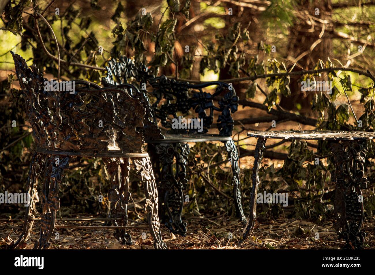 Mobili da Giardino in ghisa nera seduti in un Giardino sopravorto a Ephrata, Pennsylvania Foto Stock