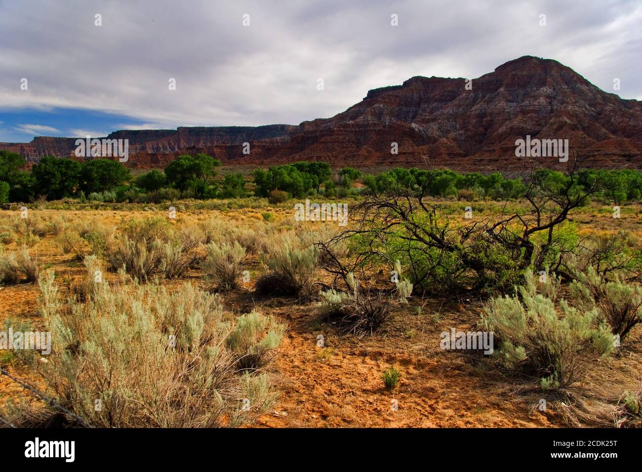 Paesaggio dello stato dello Utah. STATI UNITI Foto Stock