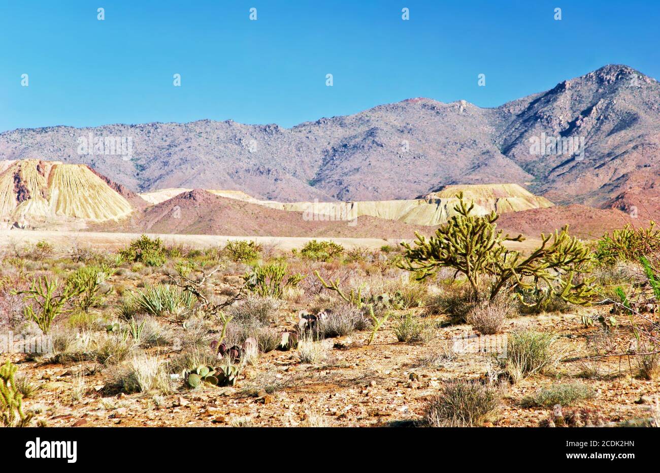 Paesaggio di deserto in Arizona stato Foto Stock