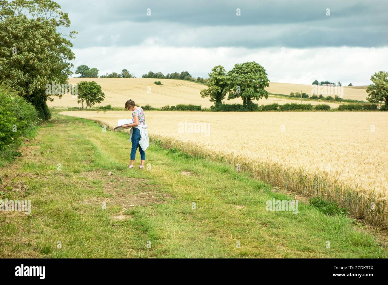 Donna che cammina lungo un sentiero pubblico attraverso terreni agricoli e mais Campi nella campagna del Buckinghamshire vicino a Long Crendon Foto Stock