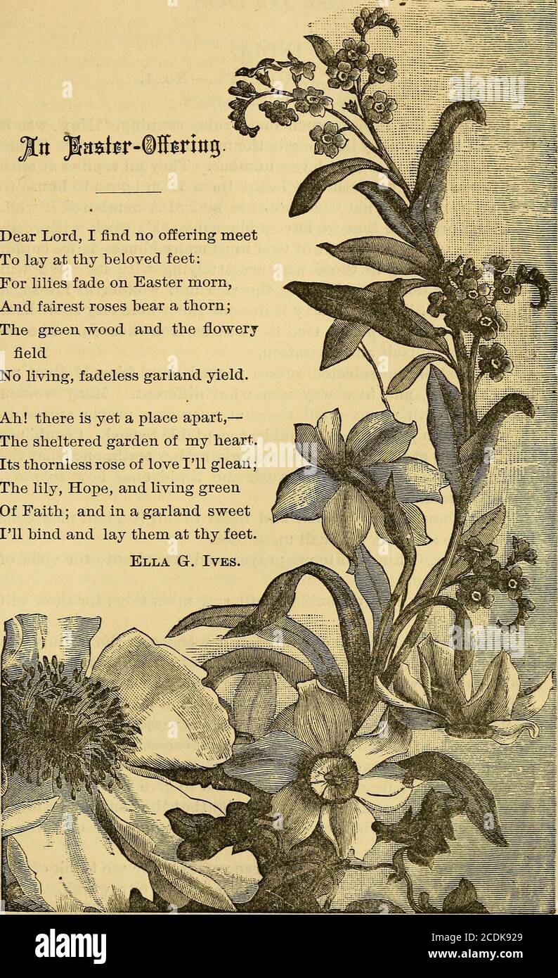 . Vita e luce per la donna . e tenerezza cura di colui che fa bene le cose. Ricordatela con amore; pregate per lei. Ha bisogno di tutte le nostre preghiere e di tutte le nostre simpatie. Nella nostra scuola di Kioto, in assenza di MissStarkweathers, si sta facendo molto bene, come dimostrano i seguenti estratti: – la scuola, che conta quarantatre studiosi, è stata aperta a Septem-Ber, con un corso di studio rivisto. Tre ragazze si sono laureate quest'anno. Dal particolare interesse relig-ious della scorsa primavera, quattordici delle nostre ragazze sono state battezzate, e si sono unite alla chiesa gli alunni più anziani a turno nel condurre tre scuole di Sabbath per Foto Stock
