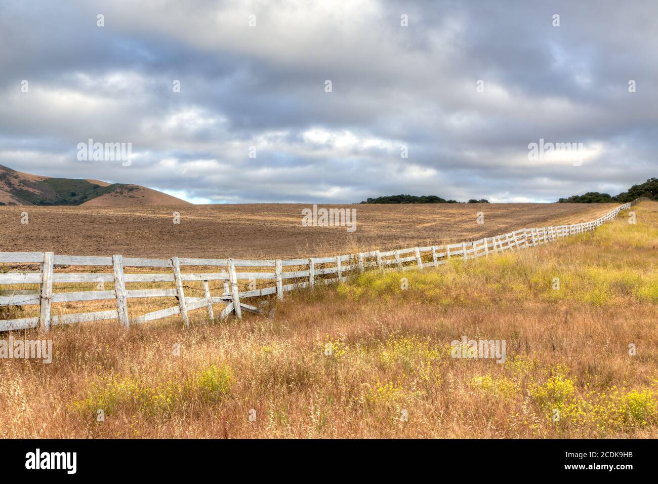 Recinzione bianca sulle pianure alte Foto Stock