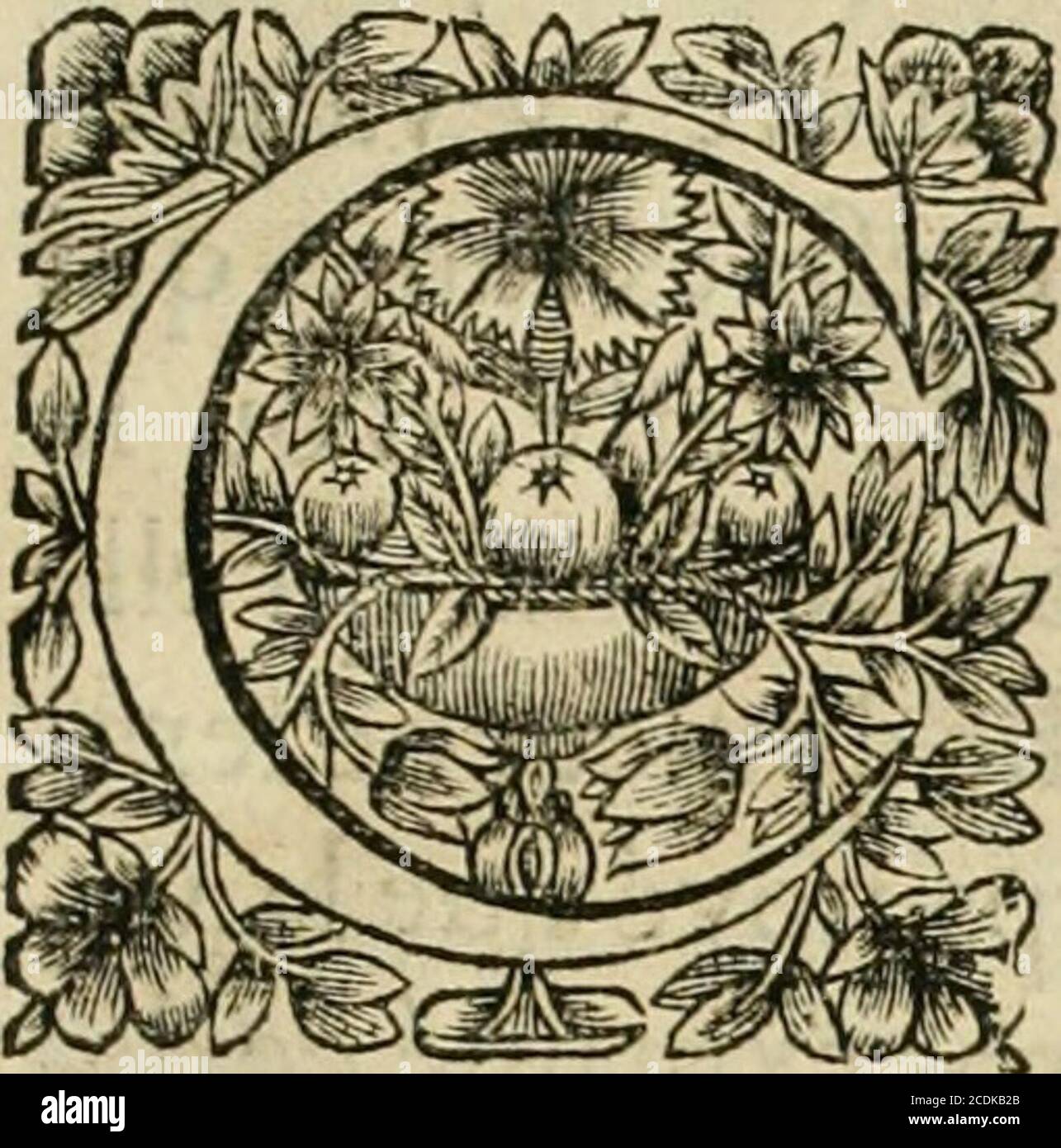 . Tableaux du Temple des muses : tirez du cabinet de feu Sig. Fauereau, conseiller du roy en sa Cour des aydes, & grauez en tailles-douces par les meilleurs maistres de son temps, pour representer les vertus & les mores, sur les più illustres fables de l'antiquité . Lcamlre Martialis Spct.Epiari.J. v? 275. LEANDRE ET HERO. XXXV. E nageur cft bien téméraire de seftre iettéen mer par vn temps fi fafcheux. Voyezcette nuée grofTe d orage, qui renouuellcvne tempefte qui dure depuis fix iours. Cene peut cftre que Lamour qui ait enga-gé Lcandre dans vn fi Grand péril} aufll le voit-on dépeint voltig Foto Stock