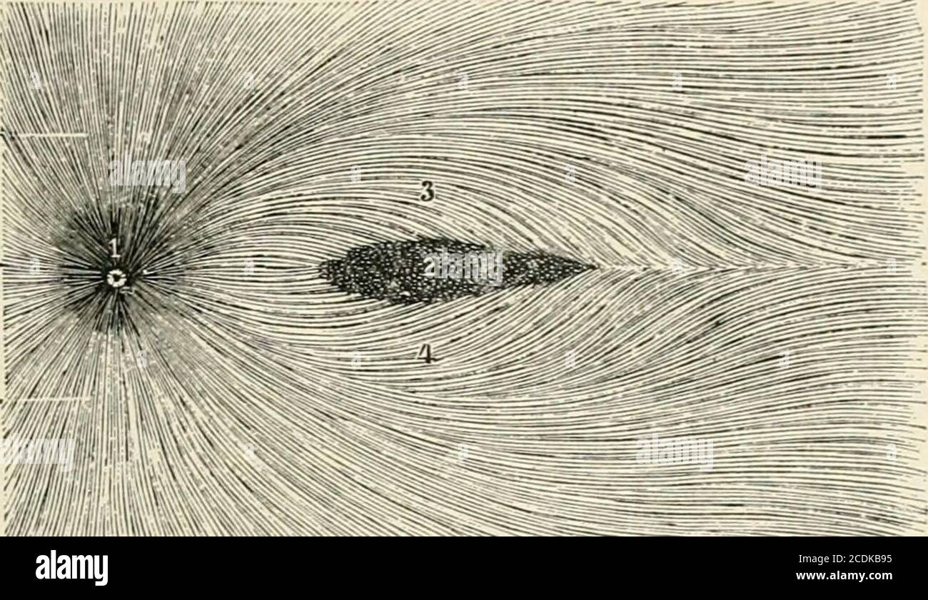 . Un trattato sulle malattie dell'occhio . )orecchio di un mosaico. 1 .r(li. f. .a. u.. Fisiol., isol. Abth., 1893, p, 400. RETINA 73 strato di fibra nervosa. - lo strato di fibra nervosa è composto da fibre nervose afferenti ed efferenti che non sono meduUated, le fibre che passano al nervo ottico l) che sono molto più numerose di quelle che passano dal nervo ottico. Questo fiyer contiene anche un iuun>er di cellule neurogliali, e in questo strato sono alloggiati i vasi più grandi della retina. Ganglio strato di cellule. - lo strato di ganglio è composto da cellule o neuroni di larve, che misurano da 0.03 a 0.01 mm. In diametro.Th Foto Stock
