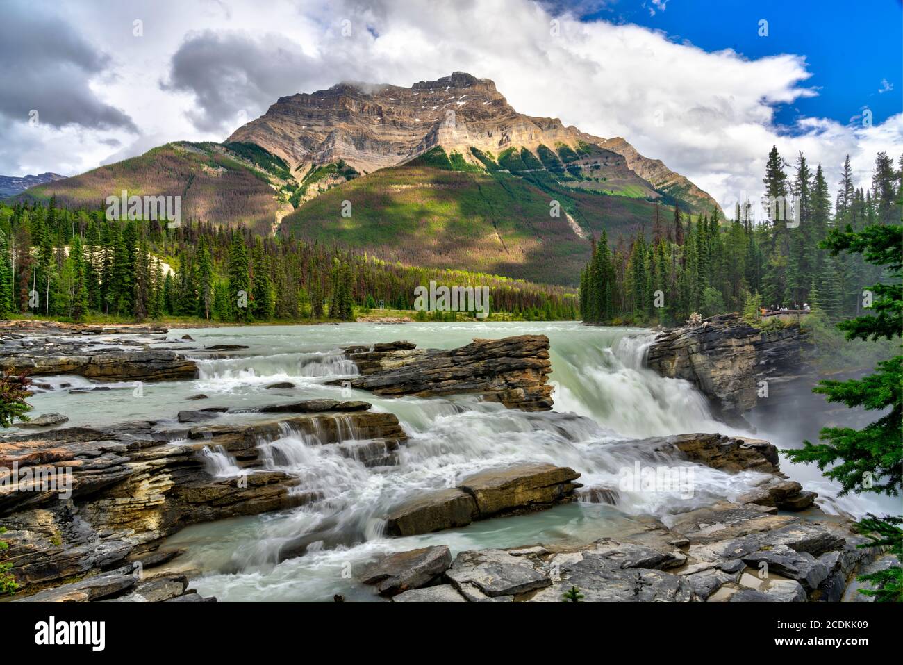 Le cascate Athabasca, Icefields Parkway, Jasper National Park, Alberta, Canada. Foto Stock