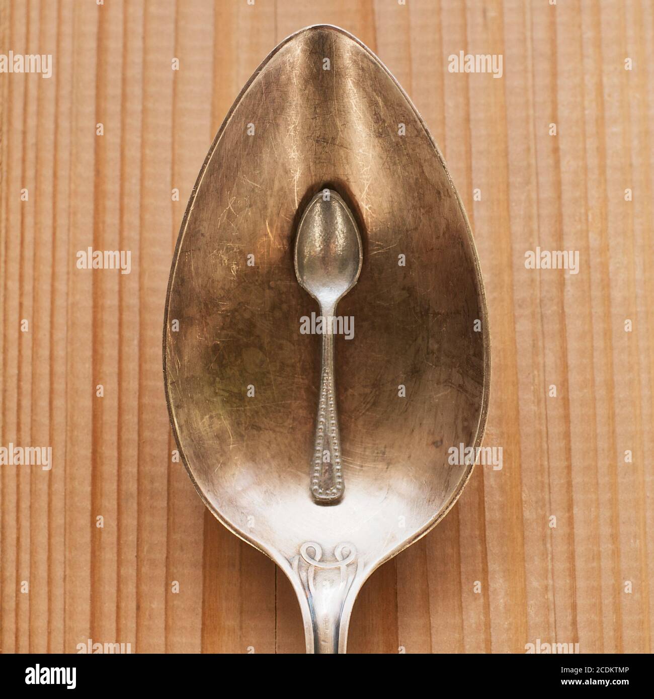 Piccolo cucchiaio, grosso cucchiaio Foto Stock