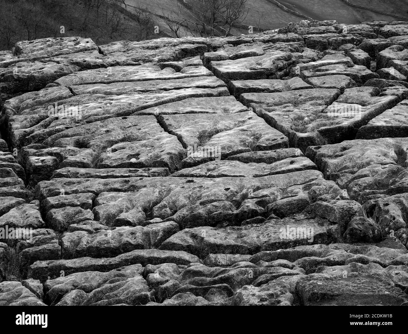 Modello creato dai famosi clint & grykes di pavimentazione calcarea sopra Malham Cove, Yorkshire Dales National Park North Yorkshire, Inghilterra, Regno Unito Foto Stock