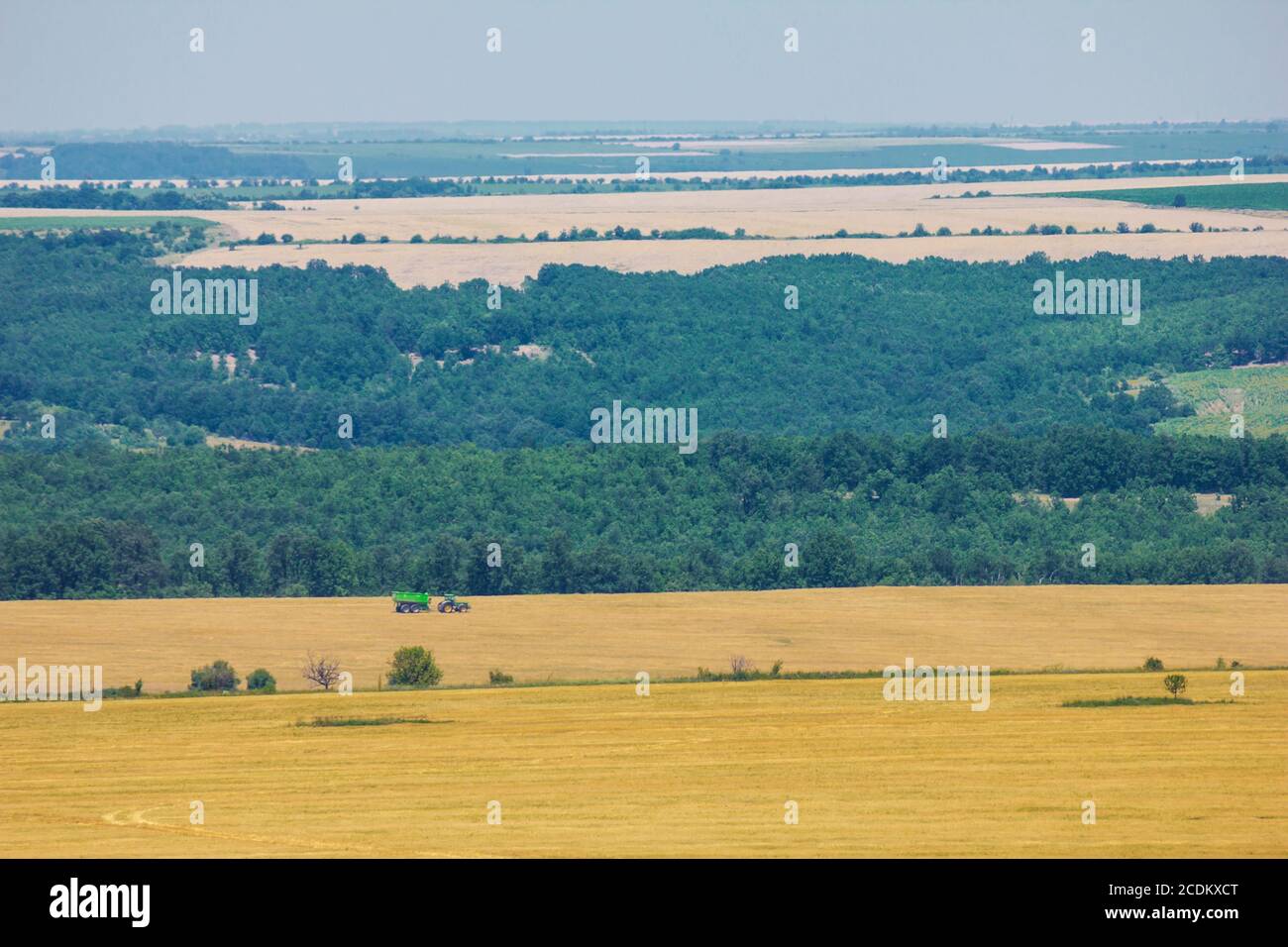 Trattore piccolo harrow sulla molla di strisce campo - scala piccola agricoltura. Coltivare il trattore nel campo. Foto Stock