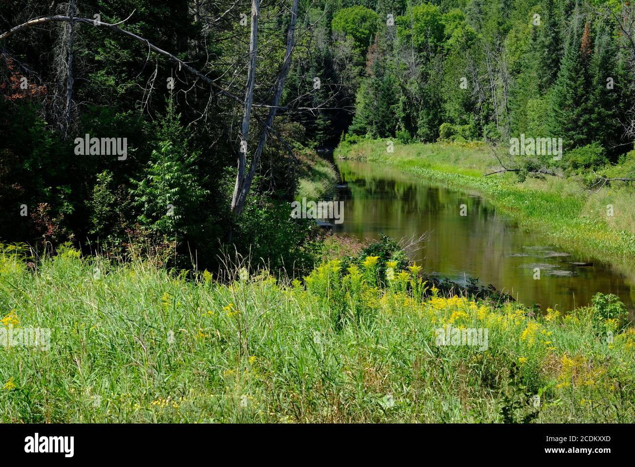 Vista sul fiume Gatineau e sulla natura selvaggia appena fuori da Wakefield sul sentiero 52, Wakefield, Quebec, Canada. Foto Stock