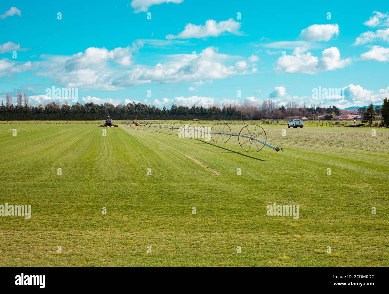 Campagna neozelandese, scene kiwi iconiche: Funzionamento istantaneo del prato. Erba crescente per la vendita. Foto Stock