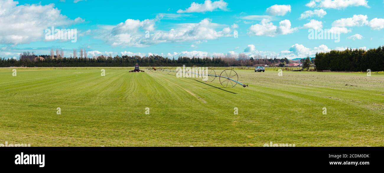 Campagna neozelandese, scene kiwi iconiche: Funzionamento istantaneo del prato. Erba crescente per la vendita. Foto Stock