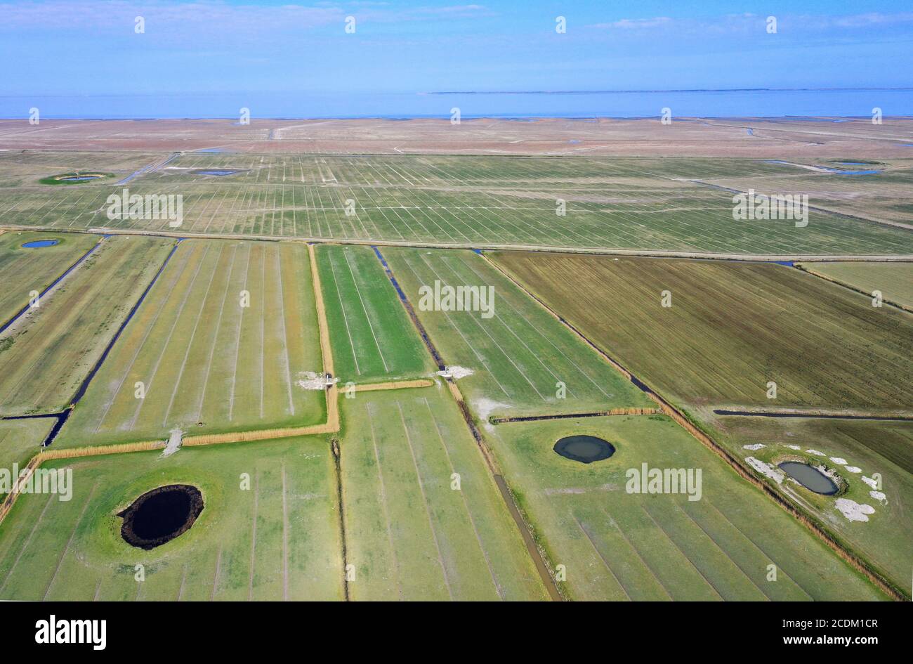 Riserva naturale Ferwert, zona di fronte a dighe, Paesi Bassi, Frisia Foto Stock