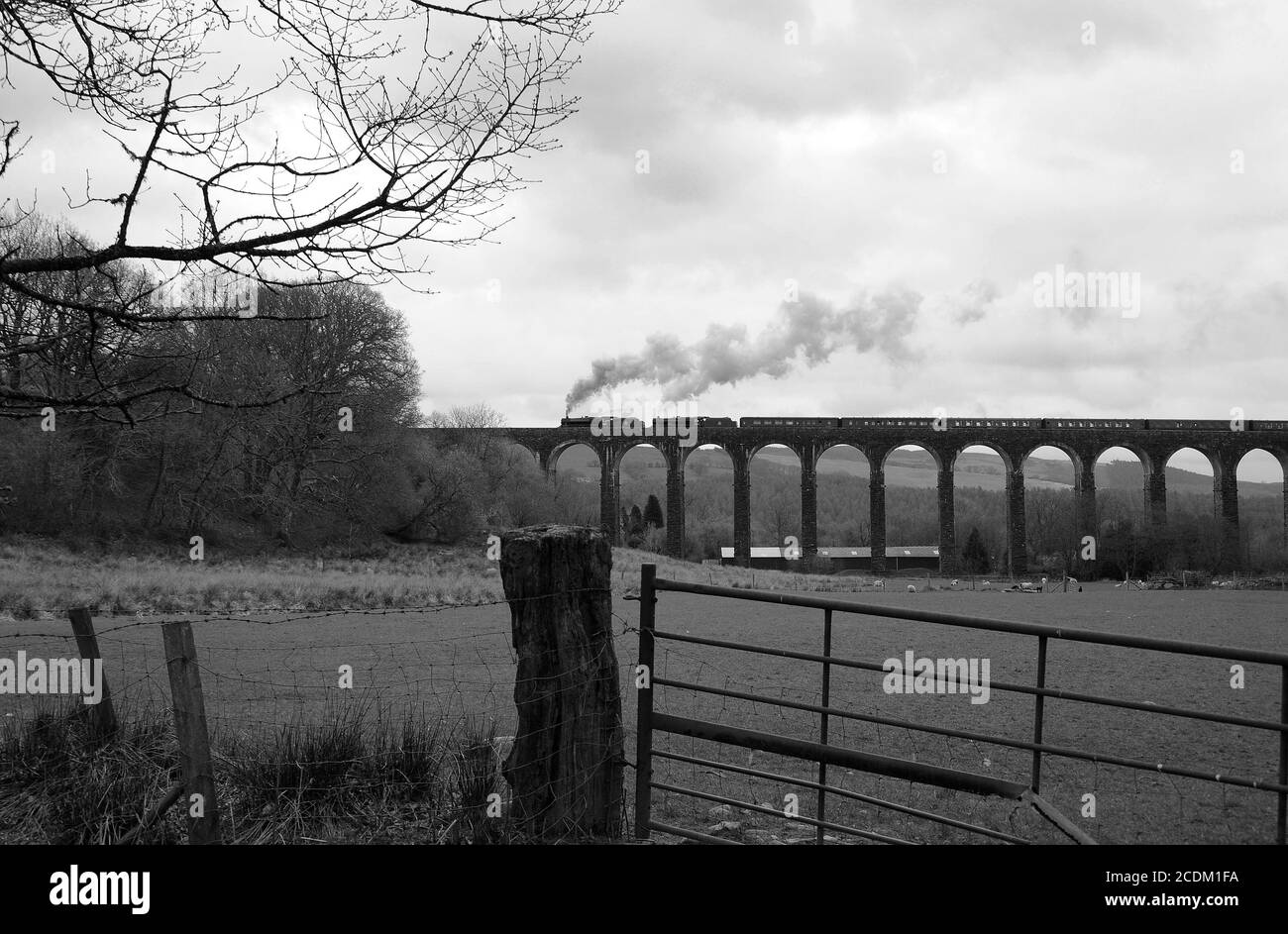 '44871' conduce '45407' attraverso il Viadotto di Cynghordy con un treno diretto a nord. Foto Stock