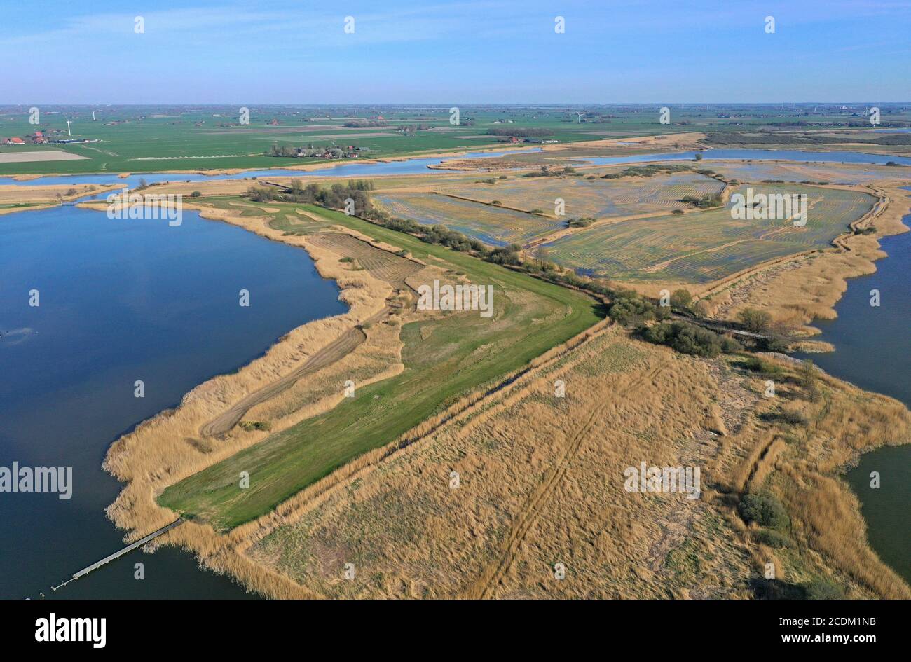 Riserva naturale Makkumerwaard, Paesi Bassi, Frisia, Makkum Foto Stock