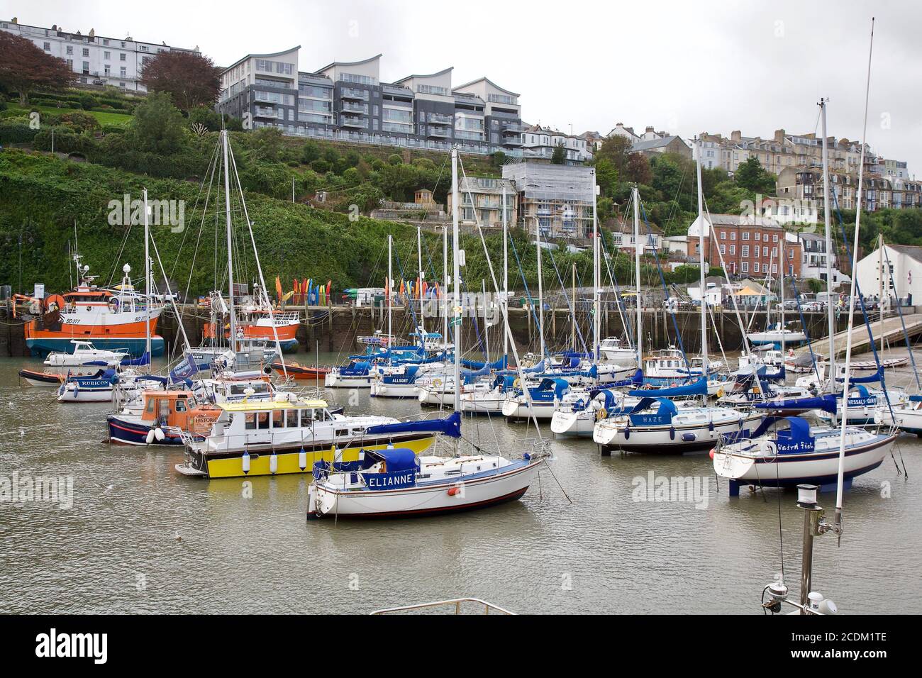 Devon Nord nel mese di agosto. Woolacombe, Ilfracombe Foto Stock