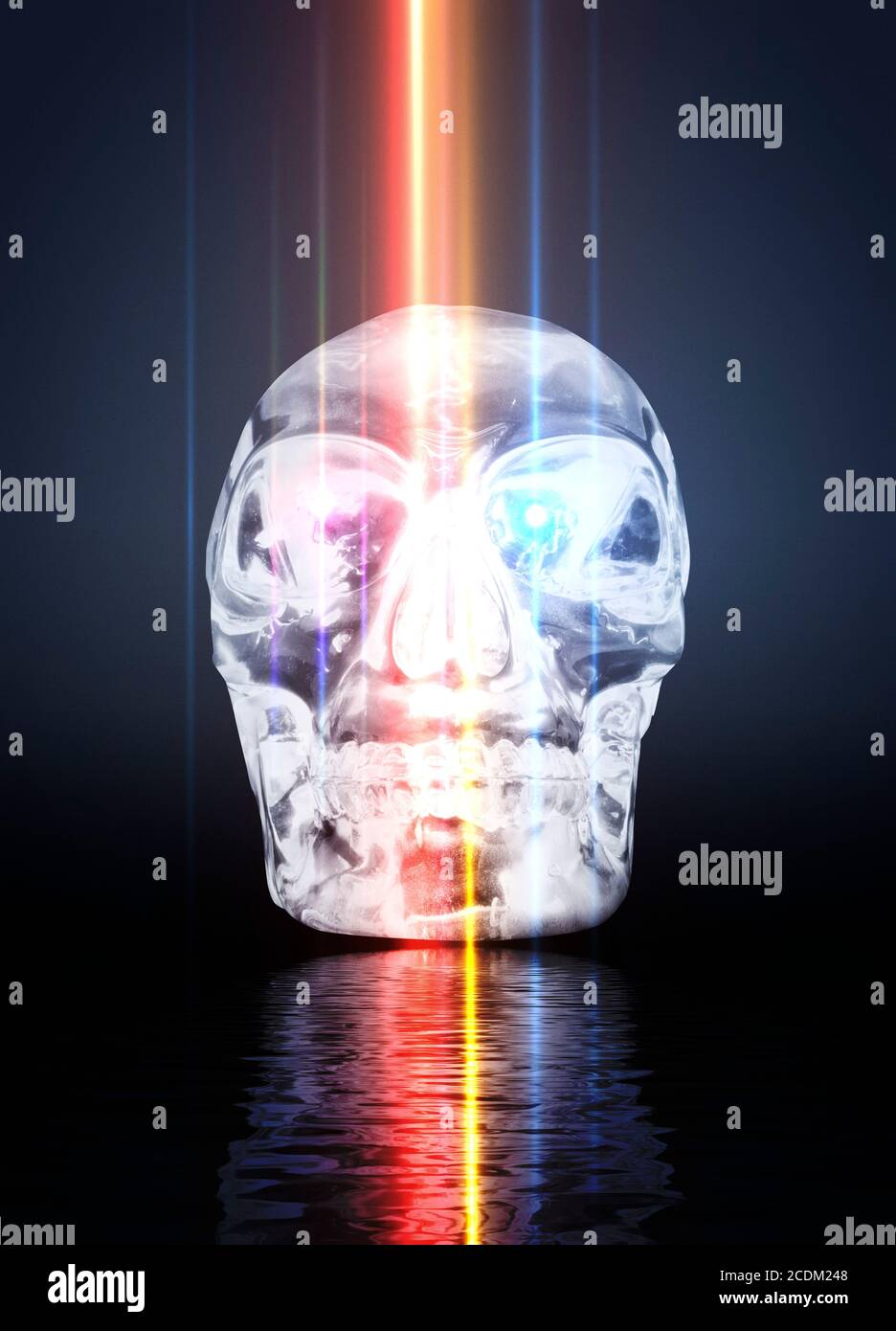 Cranio di cristallo, illustrazione. Foto Stock