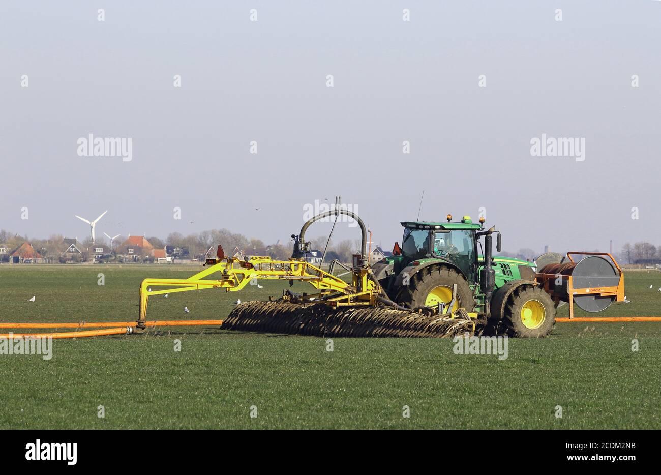 Applicazione di concime liquido sulla groenlandia, Paesi Bassi, Frisia Foto Stock