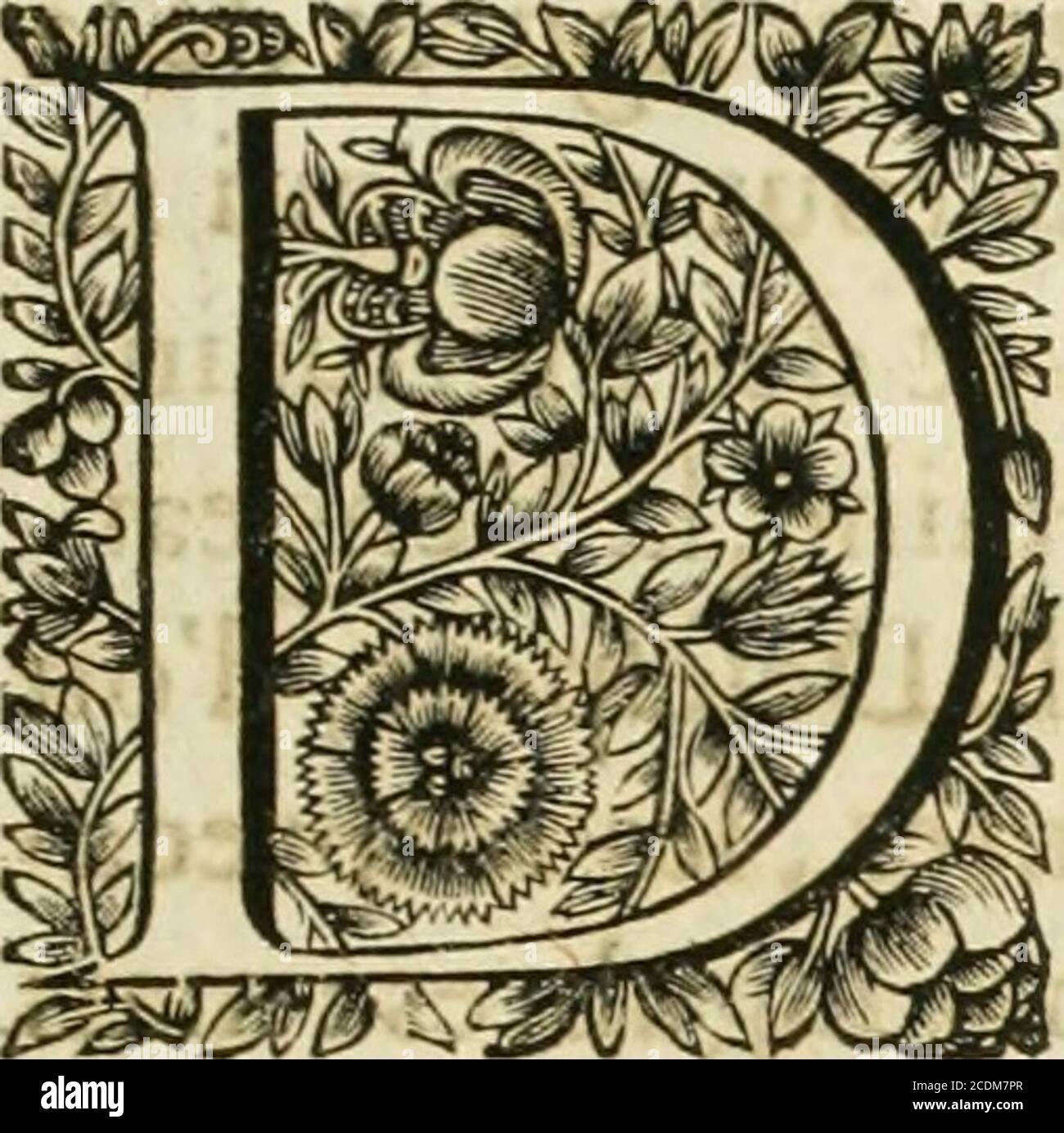 . Tableaux du Temple des muses : tirez du cabinet de feu Fauereau, conseiller du roy en sa Cour des aydes, & grauez en tailles-douces par les meilleurs maistres de son temps, pour representer les vertus & les mores, Sur les Plus illustres fables de l'antiquité . sd EXPLICATION DE LA Figure du decoration, pourferuir de Préface.. E cinq portiques quon simagine quil yauoit au Temple des Mufes, lAurheur deCCS Peintures qui auoit beaucoup deiprit, afait choix dcceluy de Lamour, comme duplus proporzionné à fes inclinations, &:audefTein des Tableaux que nous voulsdefcrire. CE neft pas que les Foto Stock