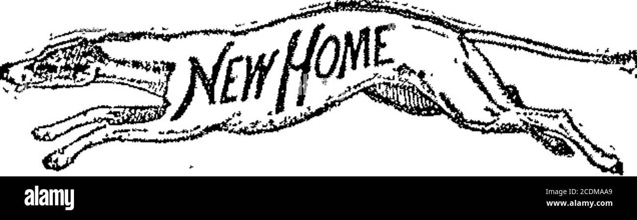 . Boletín oficial de la República Argentina. 1910 1 a sección . Settembre 27 de 1910.-Gasnratoreii fa-brik Deutz.-•ArtÍGUtei de las clases (15i 2& ?-?-.:???? ? 30.928 Consol Septiembre 21 de 1910.-Consol Automa-tic Aerators Ltd...-artículos de las classes9, 15 á 20, 24, 25, 02 á 64 y C& á 69. v-30 Septiembre. 30.932 sgg ^ A - m, ?vi, ? ?&lt;r/9 % -M m v-sg lü sSSí Settembre 22 de 1910.-Pascual Longo.-artículos de las clases 1 á 79 y lechería,clase 80. v-30 septiembre. , Acta N. 30.943. Settembre 22 de 1910.-la nuova società di macchine da cucire ho-me.-artículos de las clases 16 y 52 Foto Stock