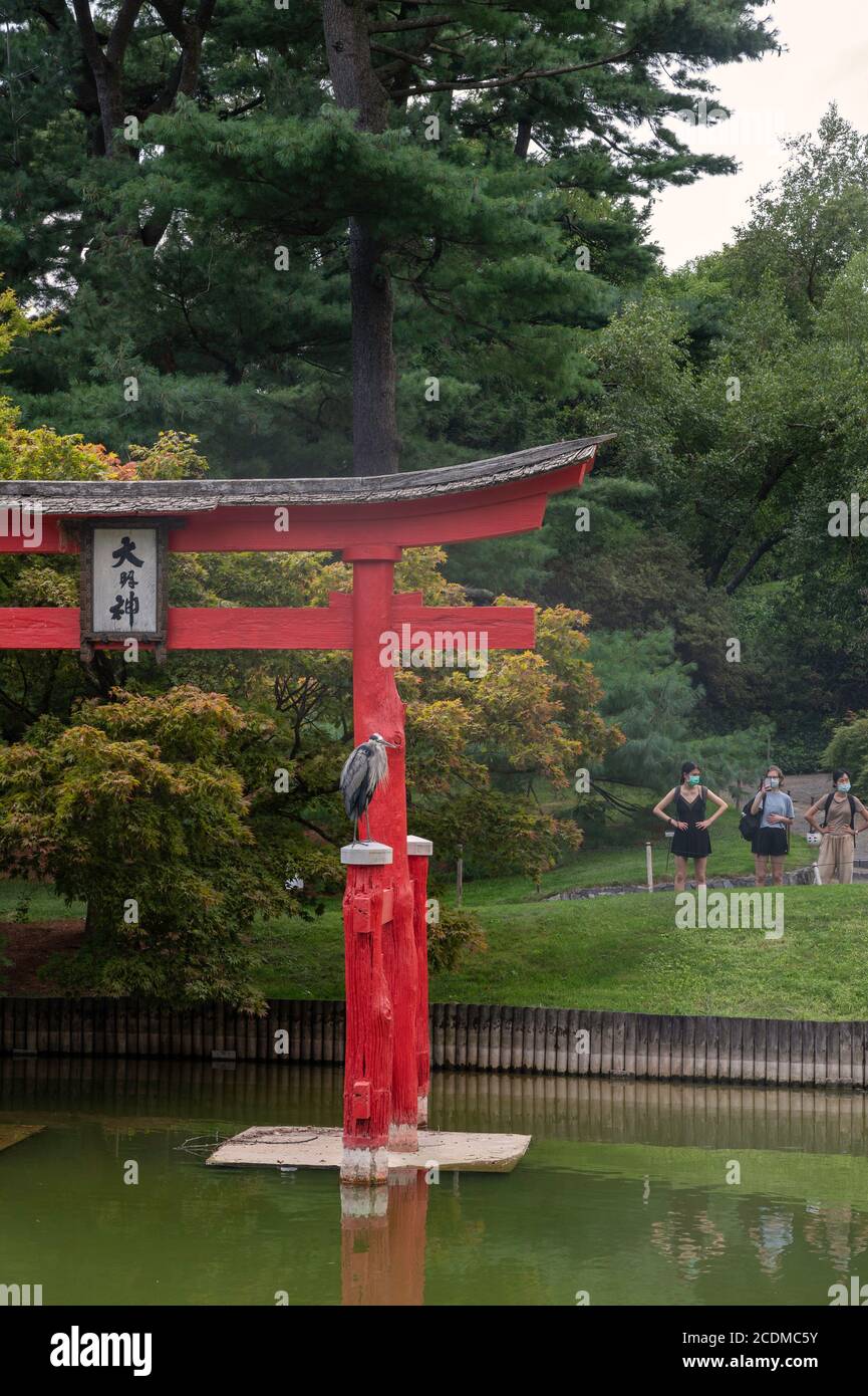 Visitatori che indossano maschere protettive al Japanese Hill-and-Pond Garden presso il Brooklyn Botanic Garden a New York City, agosto 2020 Foto Stock