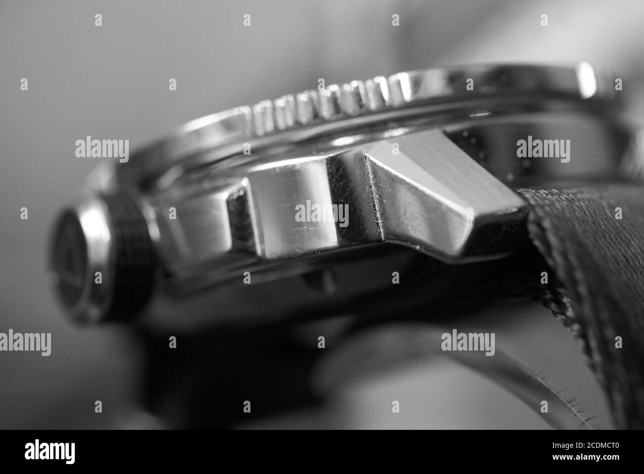 Primo piano e foto artistiche di un'immersione Alpina Seastrong Guarda Foto Stock