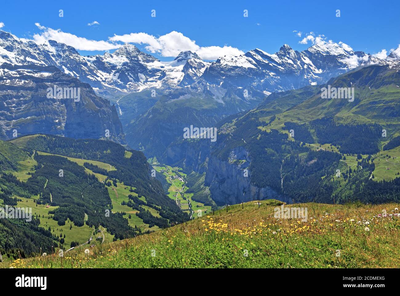 Prato di montagna sul Maennlichen con la valle di Lauterbrunnen e Breithorn, Wengen, Jungfrau regione, Bernese Oberland, Canton Berna, UNESCO mondo Foto Stock