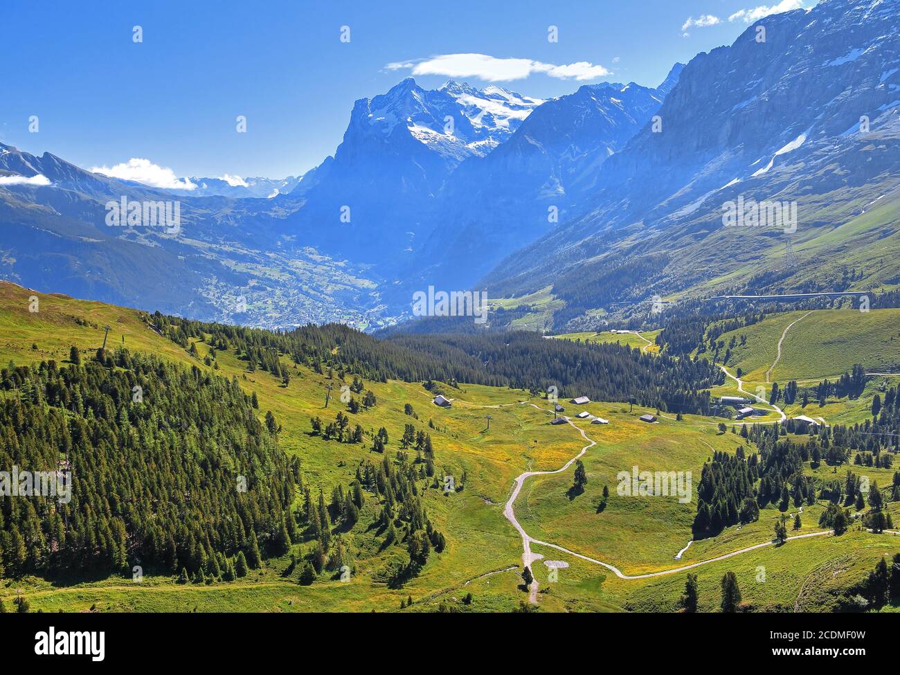 Prati montani sulla Kleine Scheidegg con Wetterhorn sopra Grindelwald, patrimonio naturale dell'UNESCO, Wengen, Jungfrau, Alpi Bernesi Foto Stock