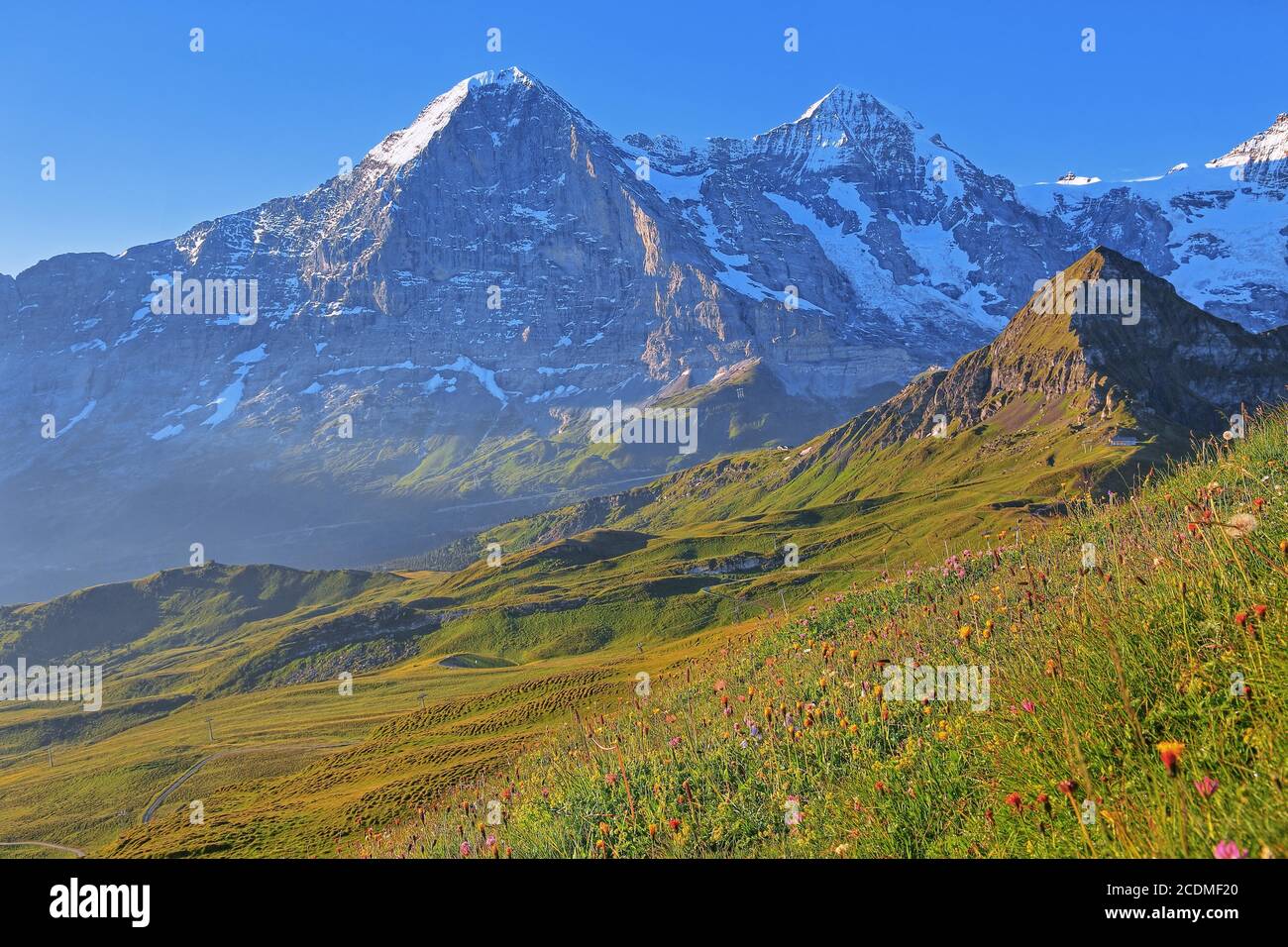 Prato di montagna sul Maennlichen con Eiger e Moench all'alba, Wengen, Jungfrau regione, Bernese Oberland, Canton Berna, UNESCO World Natural Foto Stock