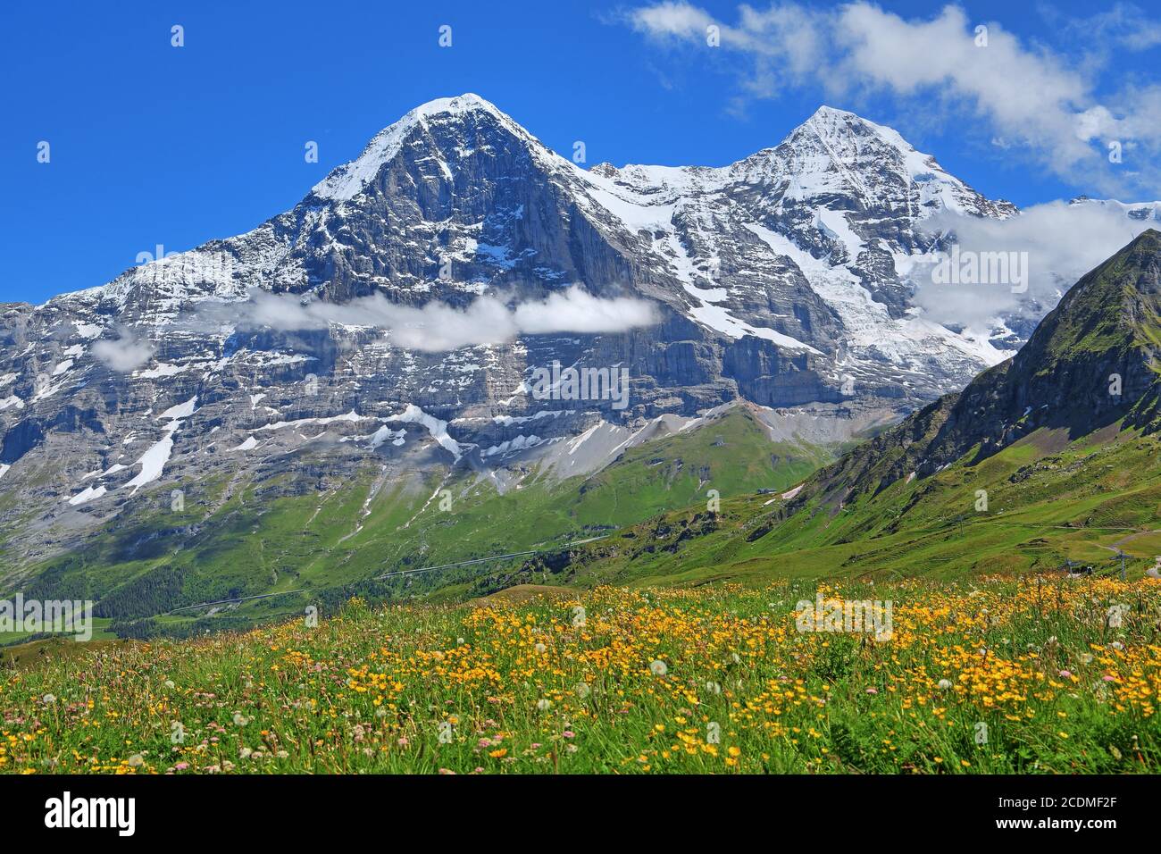 Prato di montagna sul Maennlichen con Eiger e Moench, Wengen, Jungfrau regione, Bernese Oberland, Canton Berna, UNESCO patrimonio naturale Foto Stock