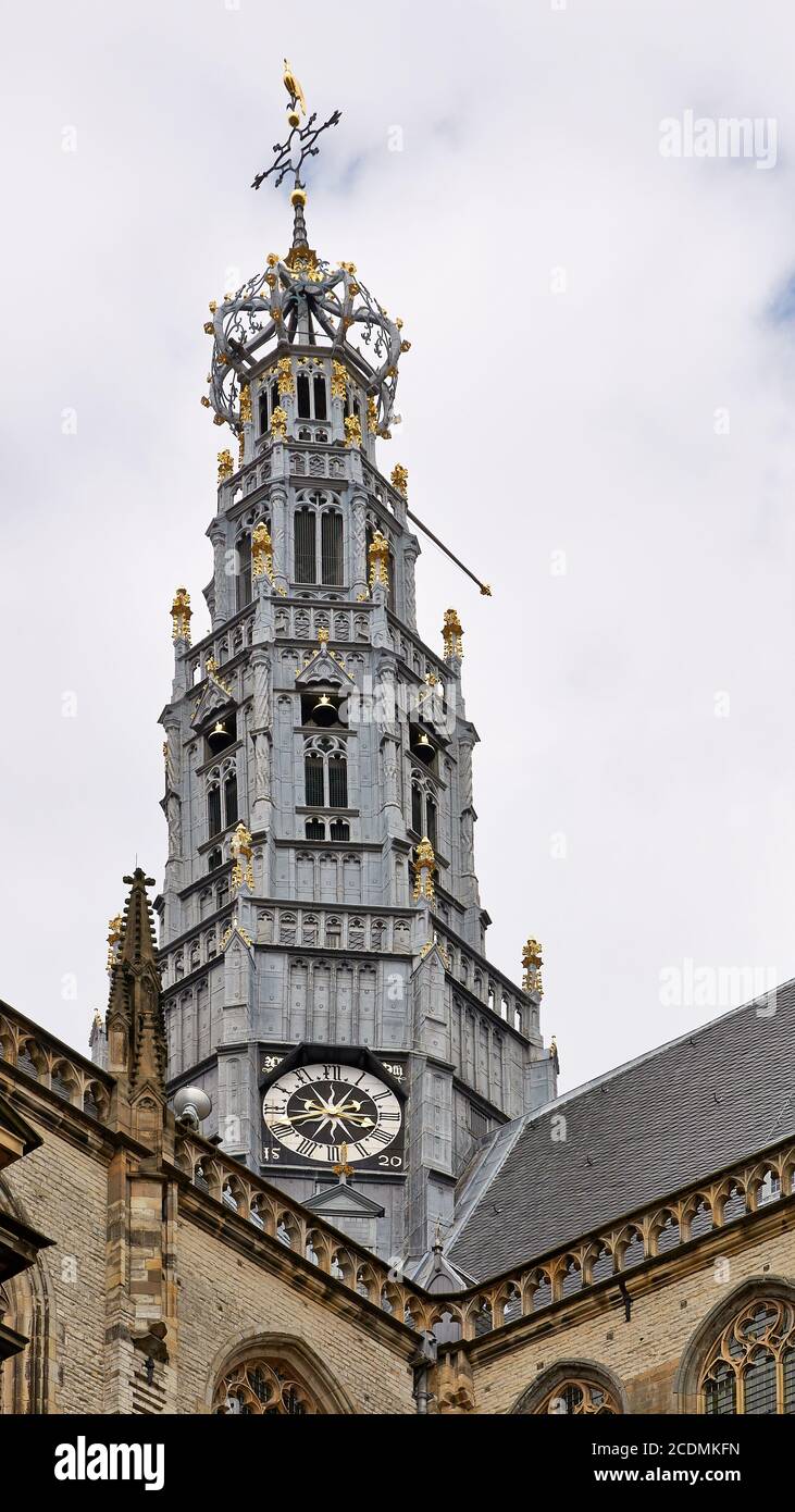 Grote Kerk, Haarlem, Nord-Olanda, Paesi Bassi Foto Stock