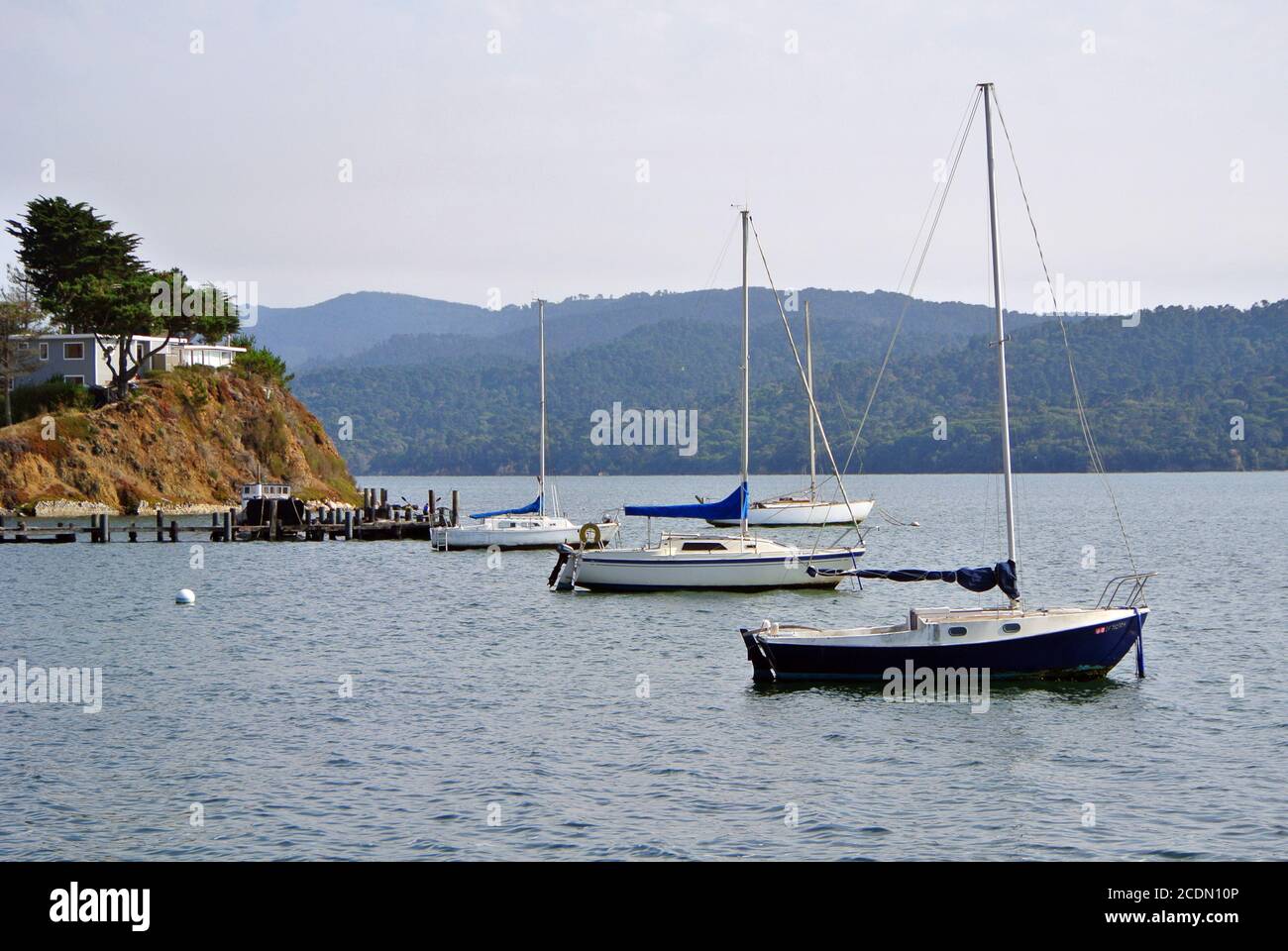 Vista delle barche a vela ancorate a Tomales Bay nella contea di Marin California usa sulla penisola di Point reyes Foto Stock