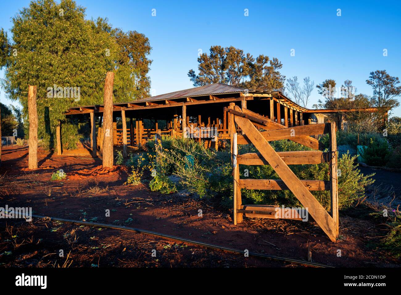 Shearing Shed di legno all'alba, Charleville, Queensland, Australia Foto Stock