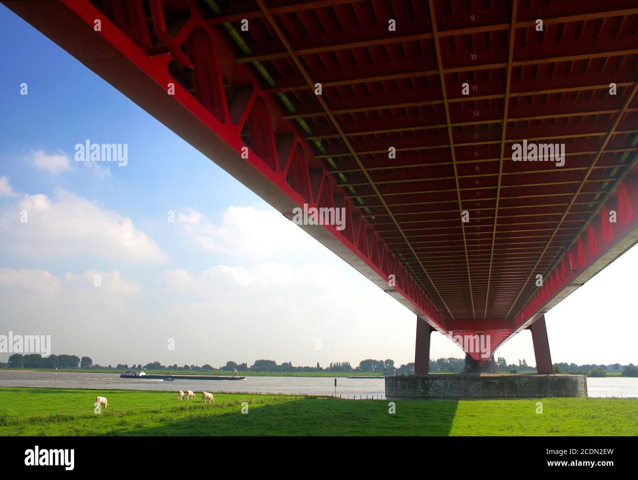 Ponte rosso sul Reno Foto Stock