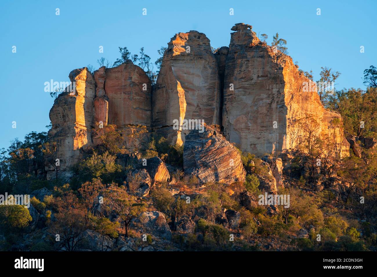 Affioramento roccioso in arenaria sulla scarpata, Salvator Rosa Section Carnarvon National Park, Queensland, Australia Foto Stock