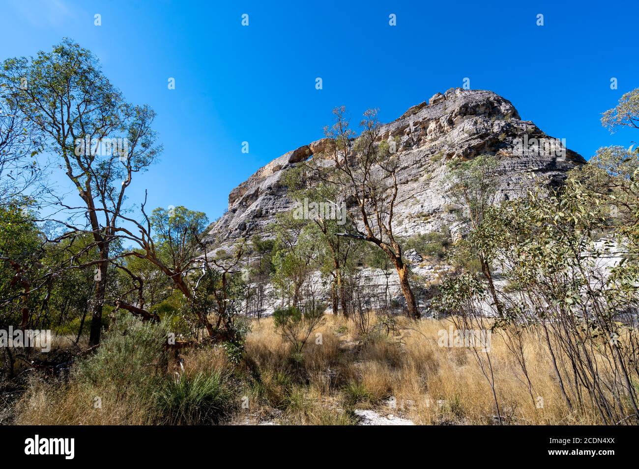 Spyglass Peak, Salvator Rosa Sezione Parco Nazionale Carnarvon, Queensland, Australia Foto Stock