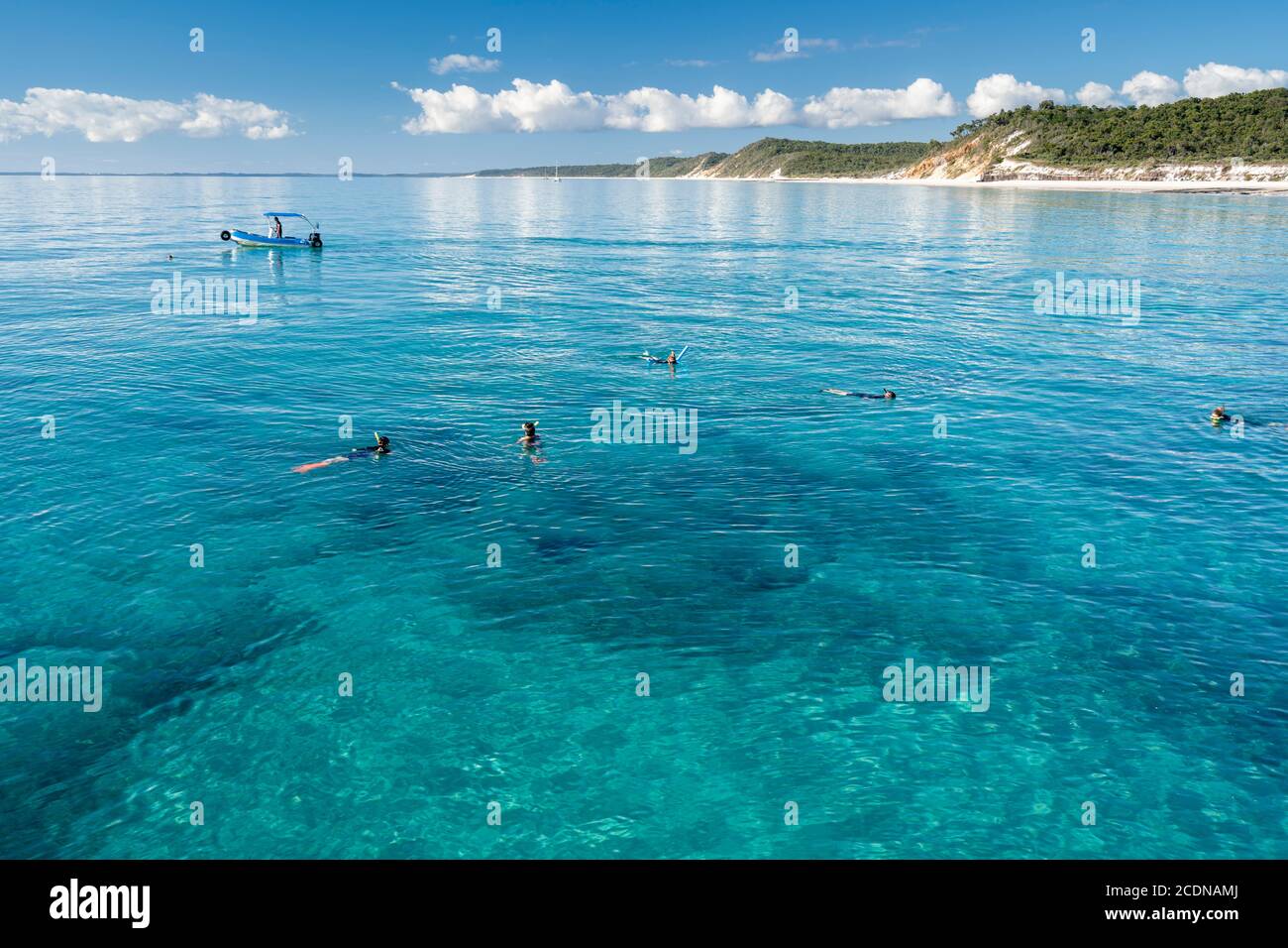 Turisti snorkeling nelle acque cristalline di Platypus Bay sulla costa occidentale di Fraser Island, Hervey Bay, Queensland, Australia Foto Stock