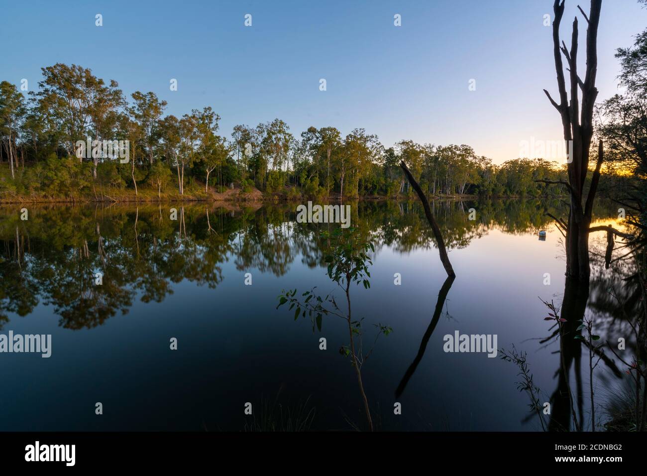 Riflessione di immagine speculare su Mary River vicino Maryborough Queensland, Australia Foto Stock