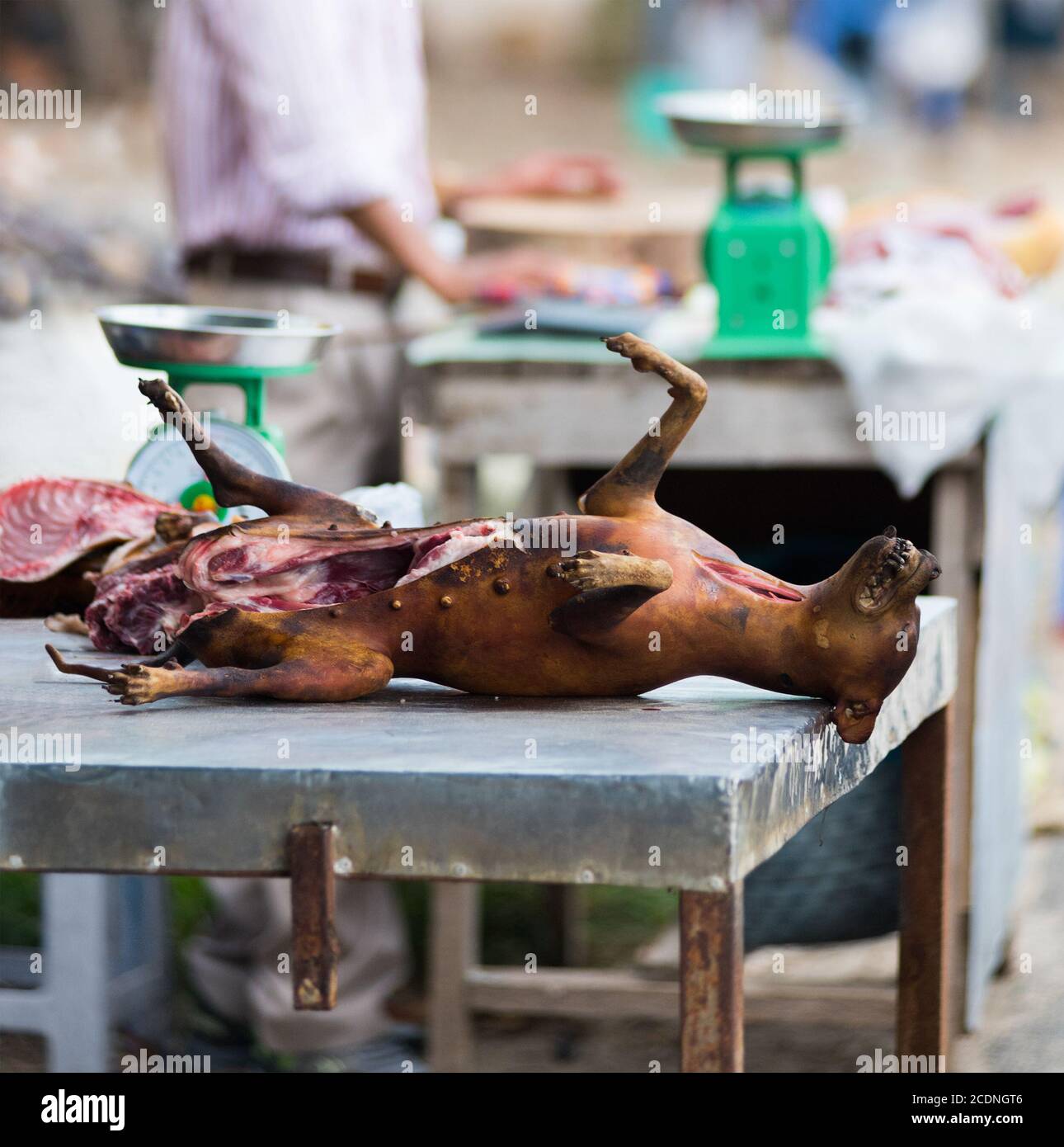 Carne di cane al mercato in Vietnam Foto Stock