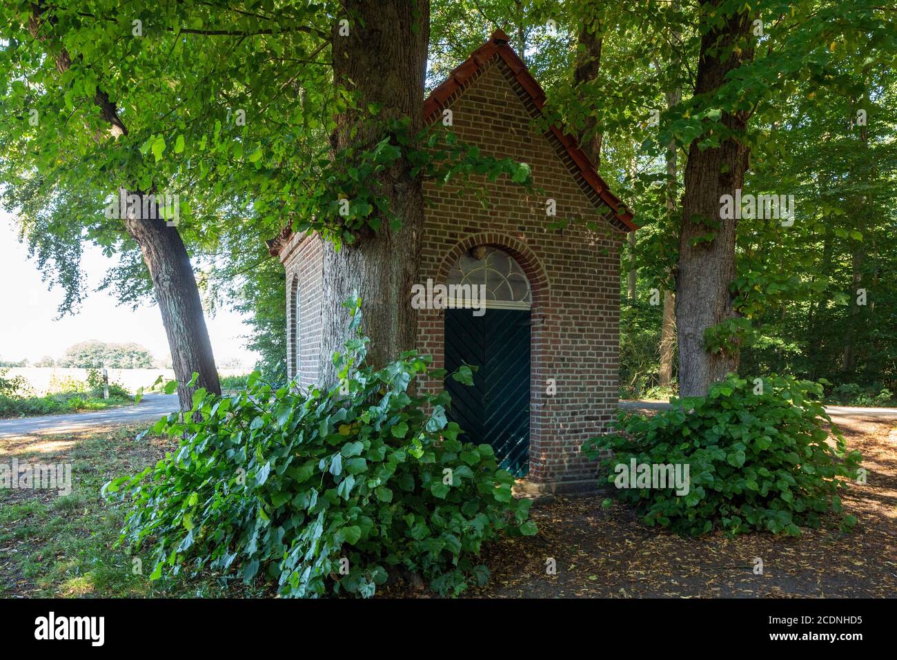 D-Dorsten, D-Dorsten-Hervest, Lippe, Ruhr, Hohe Mark Westmuensterland Nature Park, Muensterland, Westfalia, Renania Settentrionale-Vestfalia, NRW, Cappella Ortove Kapellenweg Foto Stock