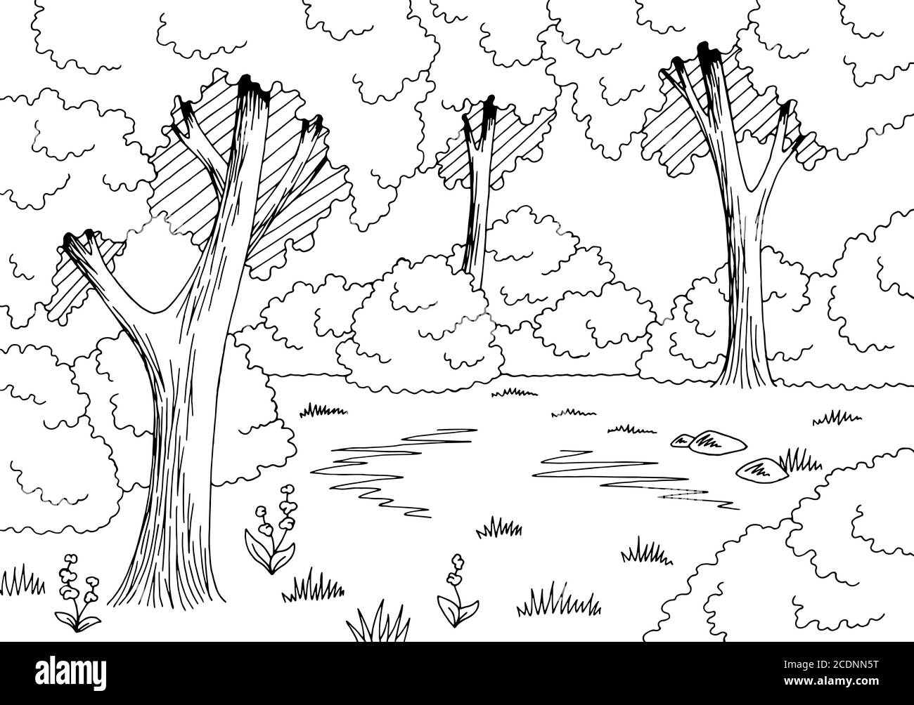 Forest glade grafico bianco nero disegno paesaggio vettore illustrazione Illustrazione Vettoriale