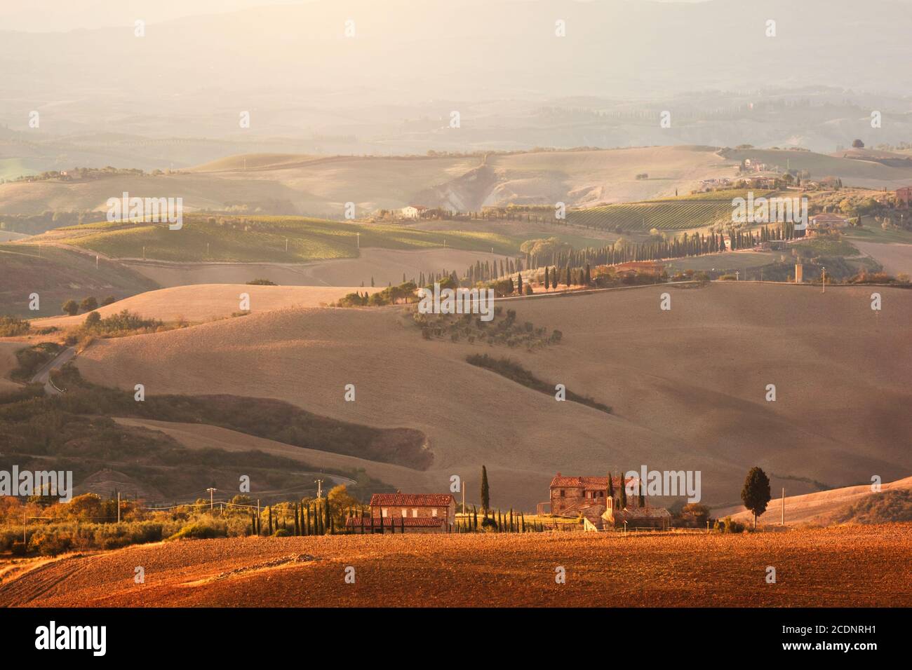Paesaggio toscano all'alba. Agriturismo, vigneto, colline toscane. Foto Stock