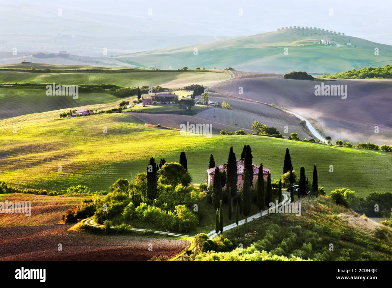 Paesaggio toscano all'alba. Agriturismo, vigneto, colline toscane. Foto Stock