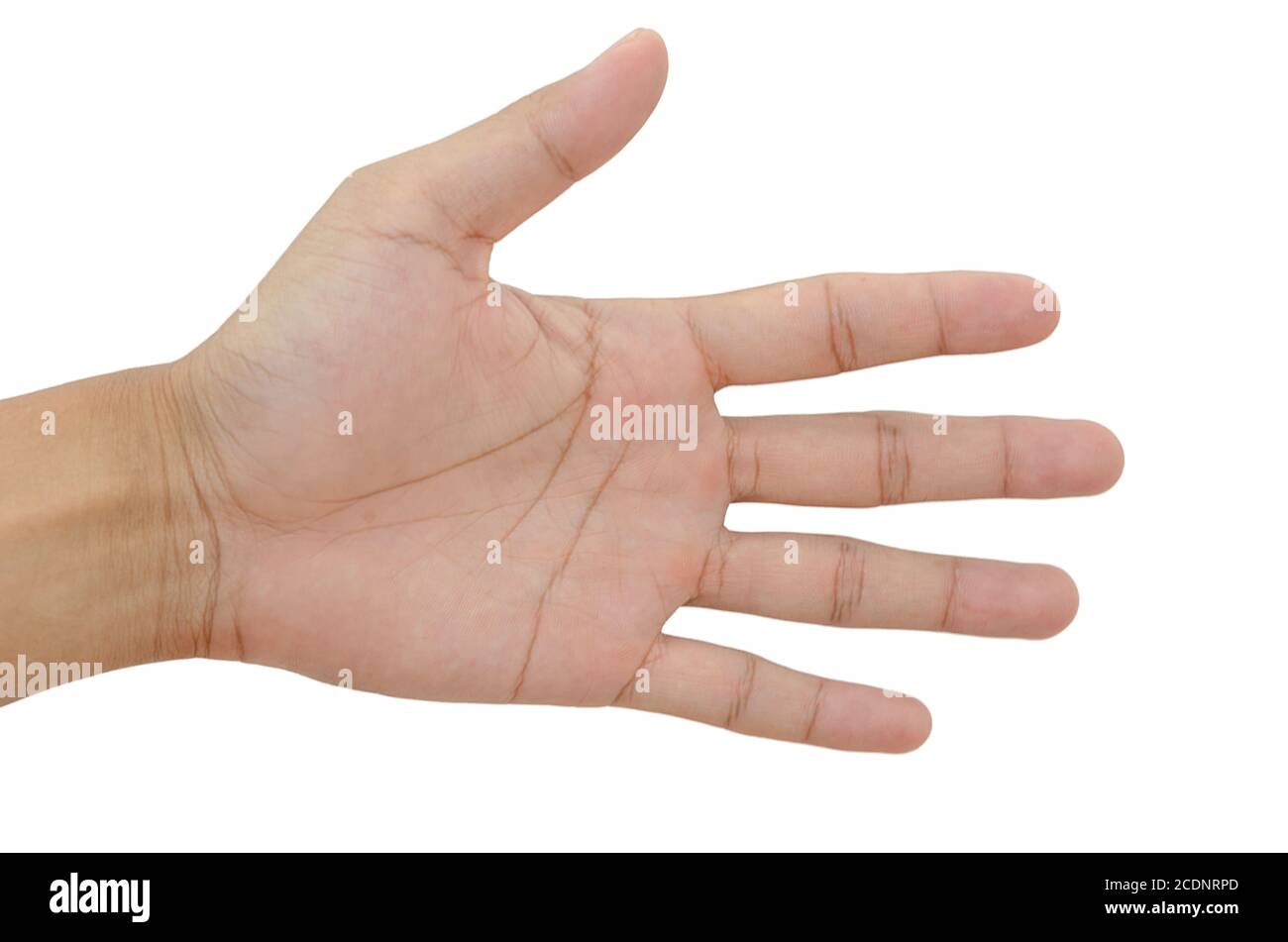 cinque dita Foto Stock