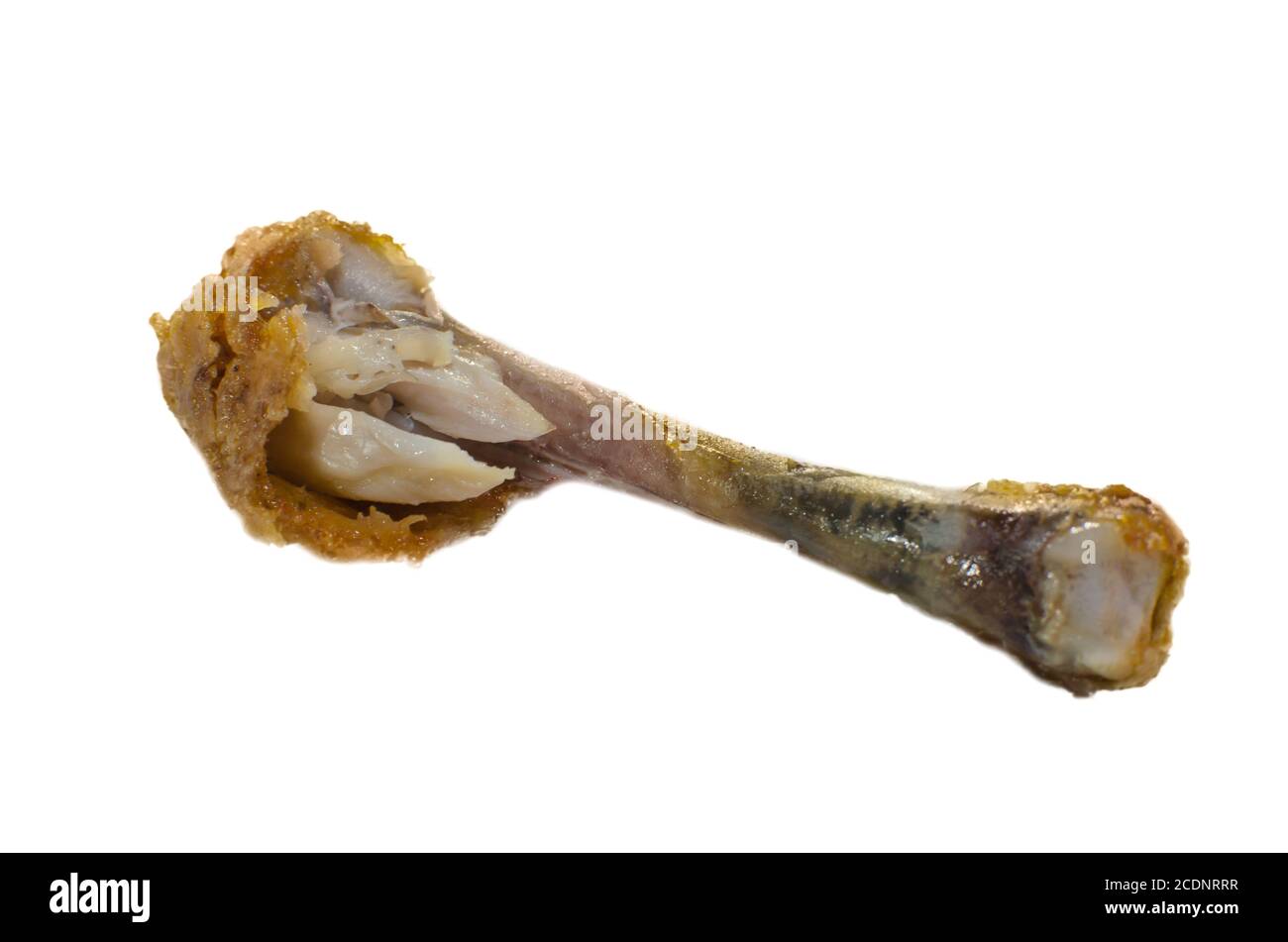 l'osso di pollo Foto Stock