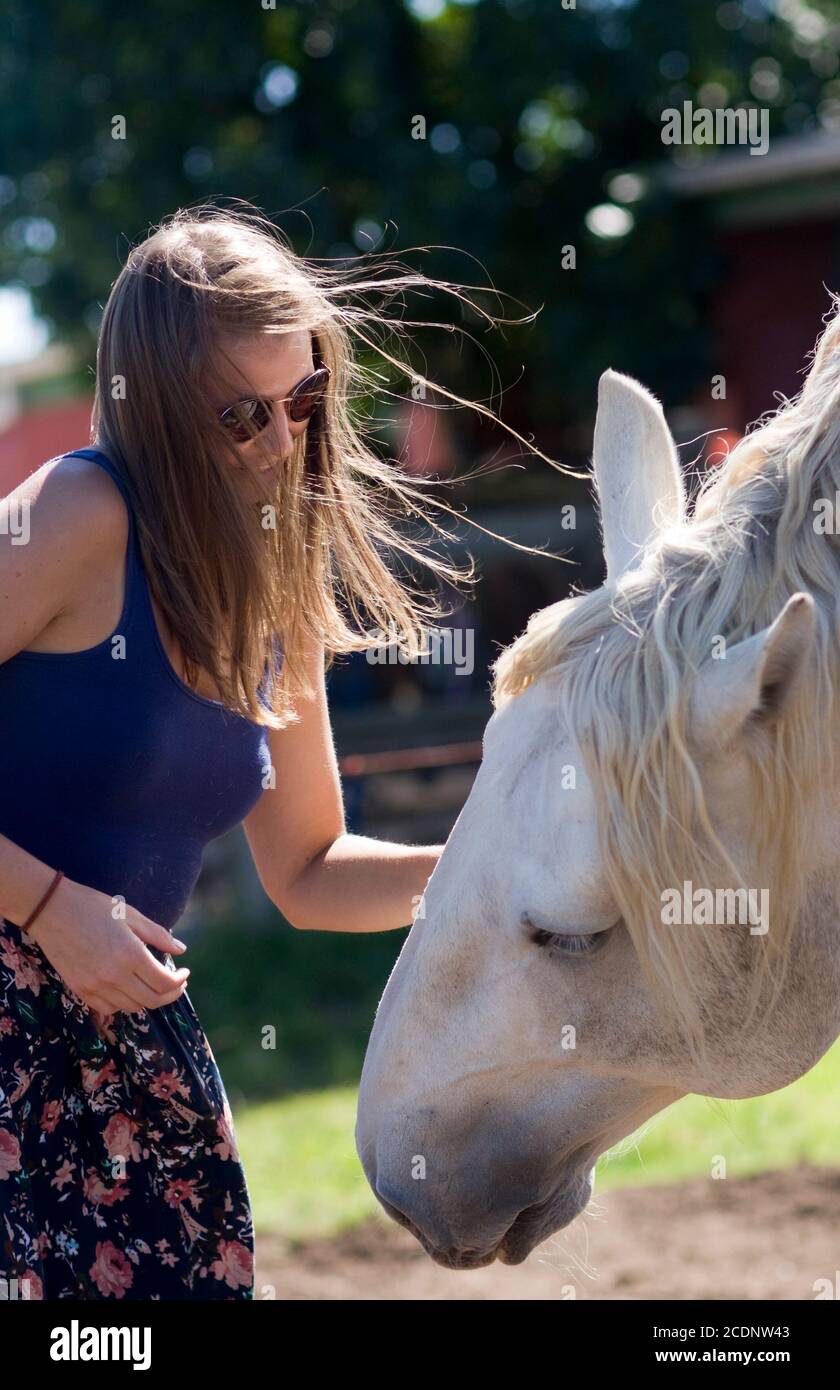 Una donna che indossa una gonna floreale interagisce con un bel cavallo Percheron bianco in una giornata ventosa. È nervosa ma felice quando tocca il cavallo. Foto Stock